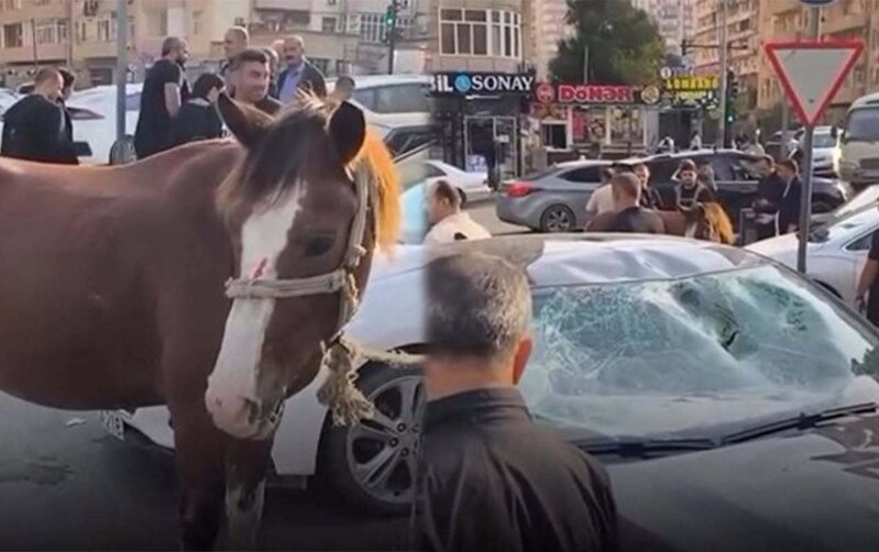 Bakıda maşın atla toqquşdu - At sahibi saxlanıldı - Video - Yenilənib
