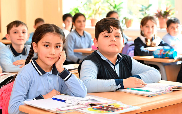 Bir sinifdə 40 şagird: Təhsilin keyfiyyəti necə qorunur? - TƏHSİL EKSPERTİNDƏN AÇIQLAMA