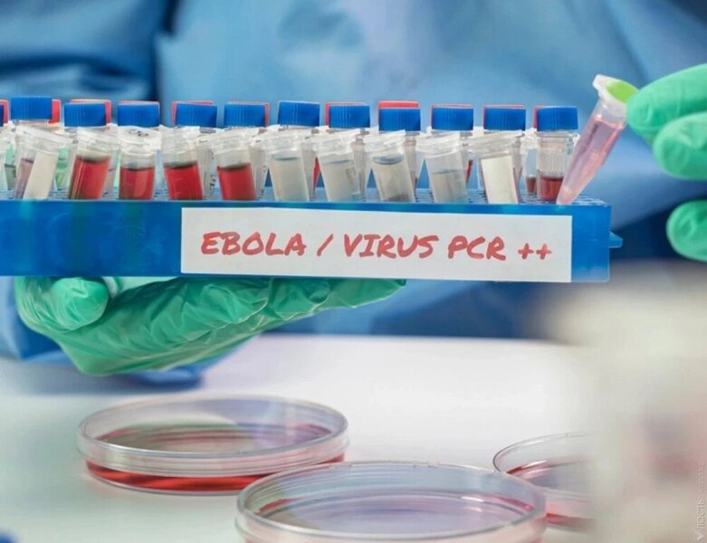 Bu ölkədə ilk Ebola hadisəsi təsdiqləndi