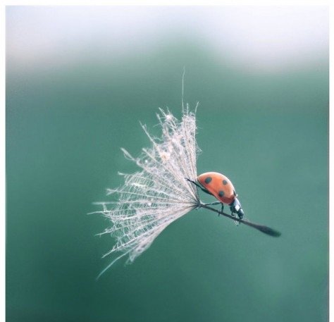 İnternet tarixinin ən komik FOTOLARI