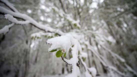 Yazın ortasında Türkiyəyə qar yağdı - FOTO