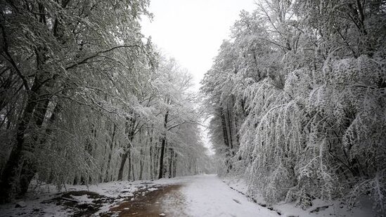 Yazın ortasında Türkiyəyə qar yağdı - FOTO