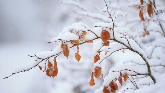 Yazın ortasında Türkiyəyə qar yağdı - FOTO