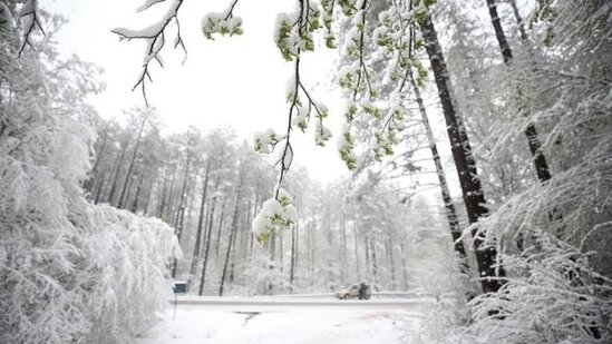 Yazın ortasında Türkiyəyə qar yağdı - FOTO