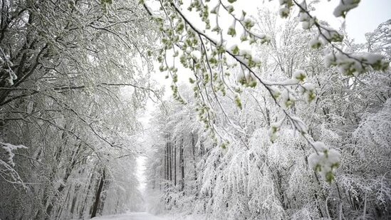 Yazın ortasında Türkiyəyə qar yağdı - FOTO