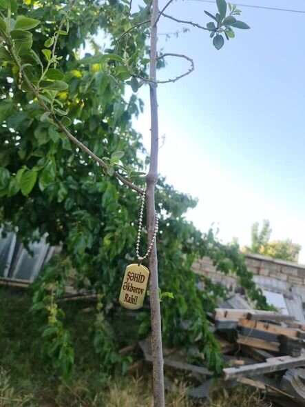 Paytaxt sakini şəhid olan yoldaşlarının adına ağac əkdi – FOTO