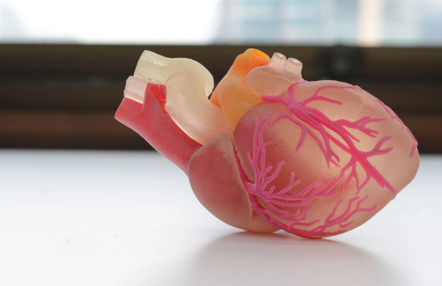 Gənclərdə ürək xəstəlikləri: Alimlər sağlam qalmağın yollarını araşdırıblar