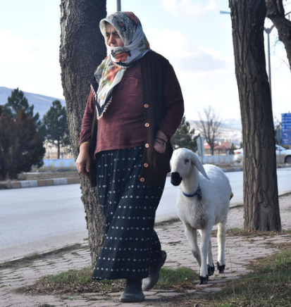 Uşağı olmayan ailə görün nə etdi - FOTO