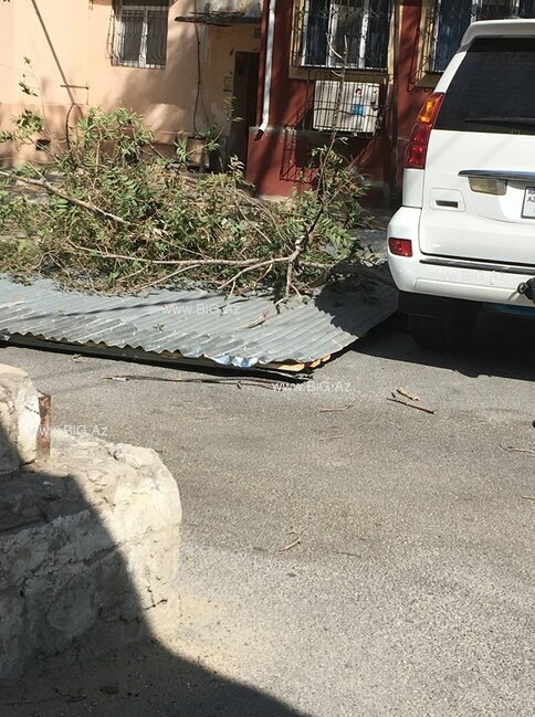 Bakıda davam edən güclü külək fəsadsız ötüşmədi - FOTOLAR
