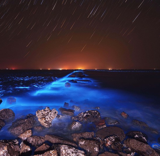 Dünyanın düşündüyünüzdən daha gözəl yer olduğunu isbat edən 20 FAKT - FOTO