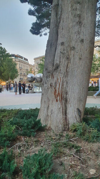 Bakıda "şir kükrəməsi" sakinlərin marağına səbəb olub - FOTO