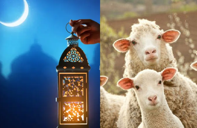 Ramazan ayında qurban kəsmək olar? - AÇIQLAMA