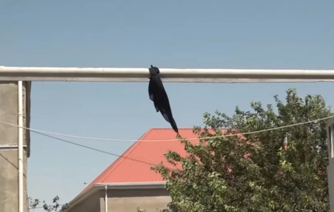 Bakıda arvadından ayrılan kişi anasını öldürdü