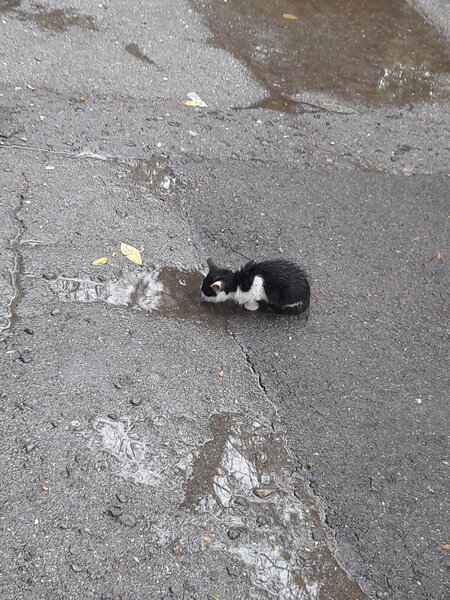 Bakıya yağış nə vaxt "yaraşacaq"? - AÇIQLAMA - FOTO - VİDEO