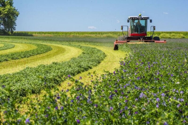 Son günlər müşahidə olunan isti havalar kənd təsərrüfatına ziyan vura bilər - ARAŞDIRMA