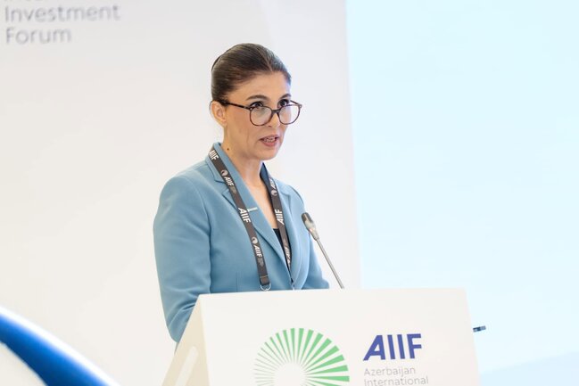 "Kritik xammal və qlobal iqtisadi təhlükəsizlik" mövzusunda panel sessiya keçirilib