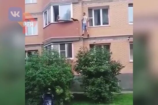 Pişiyi xilas etmək üçün həyatını təhlükəyə atdı - VİDEO