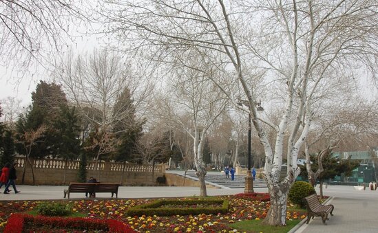 Sabah hava necə olacaq?