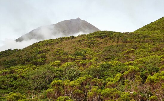 İstirahət gününün havası AÇIQLANDI