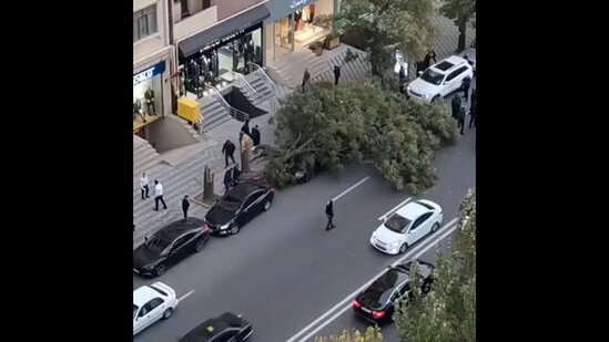 Güclü külək Bakıda bir sıra fəsadlar törədib - FOTO/VİDEO