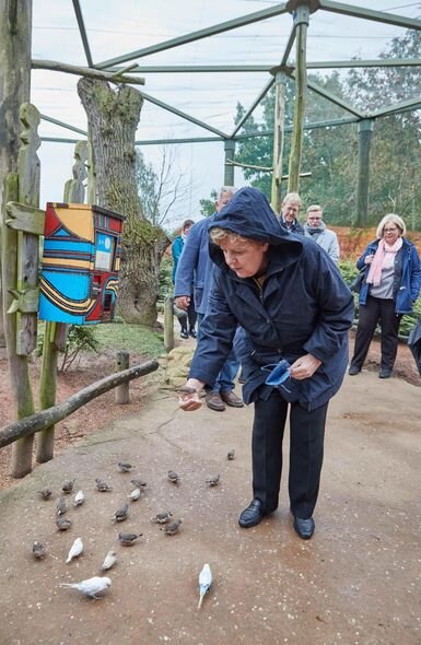 Merkel parkda quşları bəsləyərkən tutuquşunun "hücumuna" məruz qaldı - FOTO