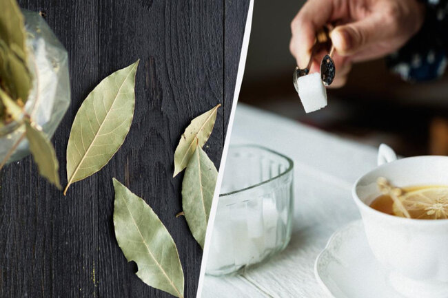 Niyə şəkər qabına dəfnə yarpağı qoyurlar: bunu bütün sovet evdar qadınları edirdi