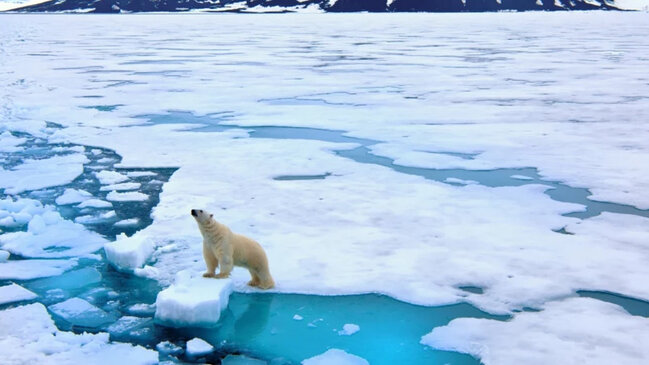 Alimlər xəbərdarlıq edir: Arktika Yer kürəsindən iki dəfə sürətlə isinir