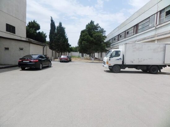 Bakıda eks-deputatdan gözlənilməz addım: Ağacları kəsərək ərazini zəbt edib? - AÇIQLAMA + FOTO