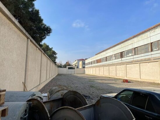 Bakıda eks-deputatdan gözlənilməz addım: Ağacları kəsərək ərazini zəbt edib? - AÇIQLAMA + FOTO