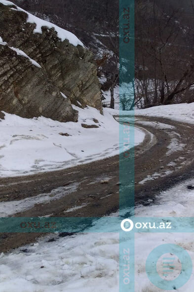 Qubada məktəblilər dərsə getmək üçün meşədən keçirlər - FOTO/VİDEO