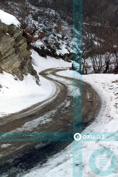 Qubada məktəblilər dərsə getmək üçün meşədən keçirlər - FOTO/VİDEO