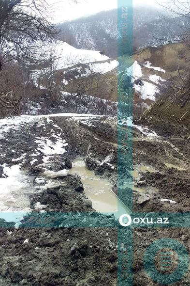 Qubada məktəblilər dərsə getmək üçün meşədən keçirlər - FOTO/VİDEO