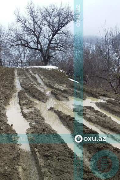 Qubada məktəblilər dərsə getmək üçün meşədən keçirlər - FOTO/VİDEO