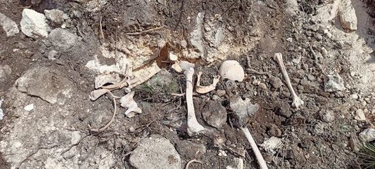 Fərruxda qazıntılar zamanı daha bir neçə azərbaycanlının meyitinin qalıqları tapıldı - FOTO