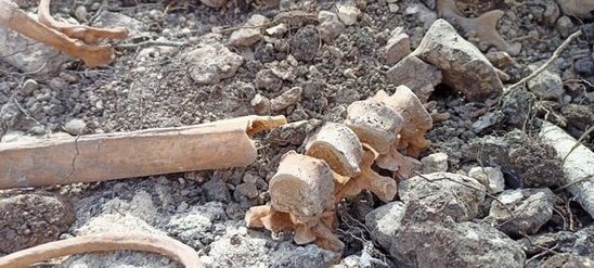 Fərruxda qazıntılar zamanı daha bir neçə azərbaycanlının meyitinin qalıqları tapıldı - FOTO