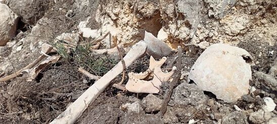 Fərruxda qazıntılar zamanı daha bir neçə azərbaycanlının meyitinin qalıqları tapıldı - FOTO