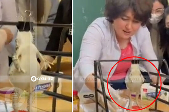 Nazirlikdən qurbağa eksperimentinə dair qəribə AÇIQLAMA + VİDEO