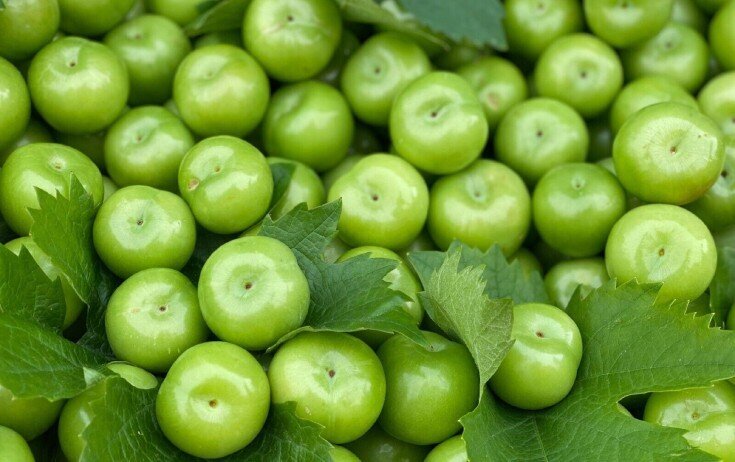 Yorğunsunuzsa, alça yeyin