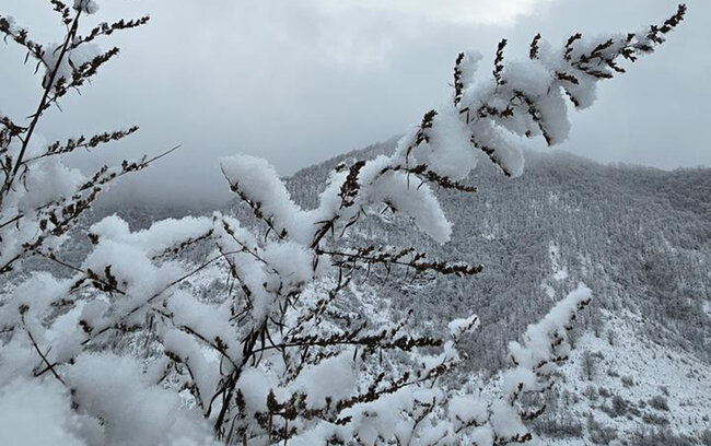 Qar yağacaq, yollar buz bağlayacaq - Xəbərdarlıq