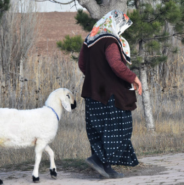 Uşağı olmayan ailə görün nə etdi - FOTO