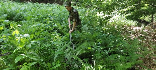 Hindistanlı turistin axtarışları davam etdirilir - Video