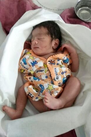 Küçə itləri yeni doğulmuş körpənin həyatını xilas etdi - FOTO