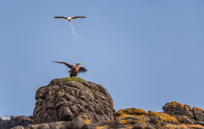 Gülmək istəyirsinizsə, bu fotolara baxın