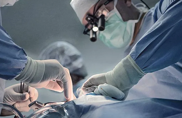 Heç bir şikayəti olmayan rusiyalı qadının böyrəklərindən yüzlərlə daş çıxarıldı