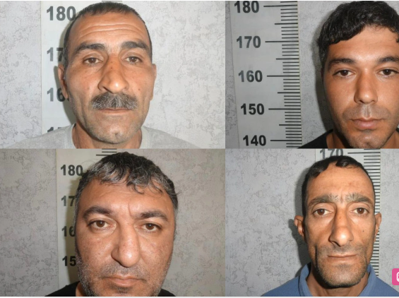 Sabirabadda çətənə kolları yetişdirən dörd nəfər saxlanılıb