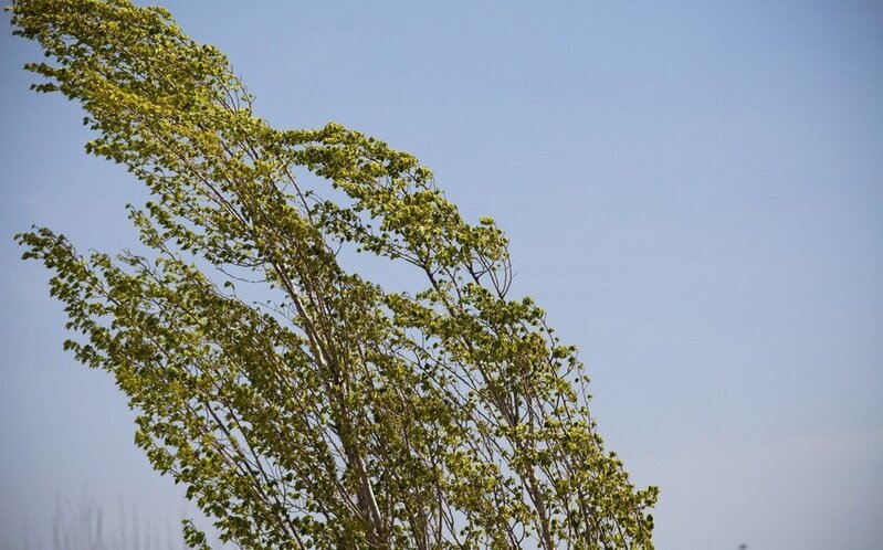 Küləkli hava şəraiti ilə bağlı sarı və narıncı xəbərdarlıq edilib