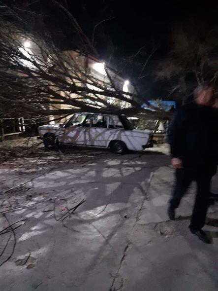 Kürdəmirdə külək ağacı avtomobilin üzərinə aşırdı – FOTO