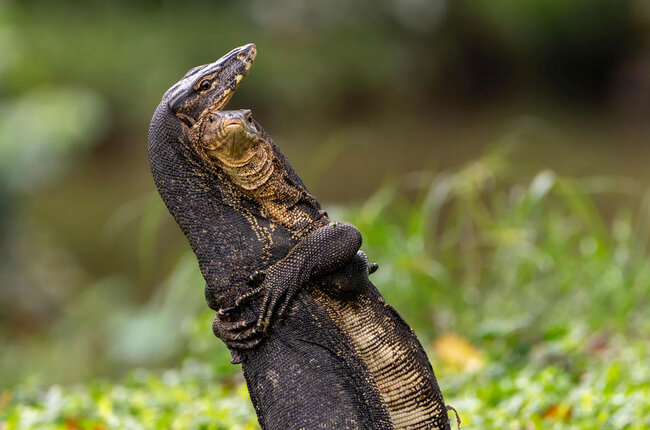 Gülmək istəyirsinizsə, bu fotolara baxın