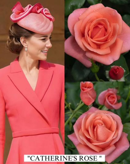 Bu güllərə onların adları verildi - Fotolar