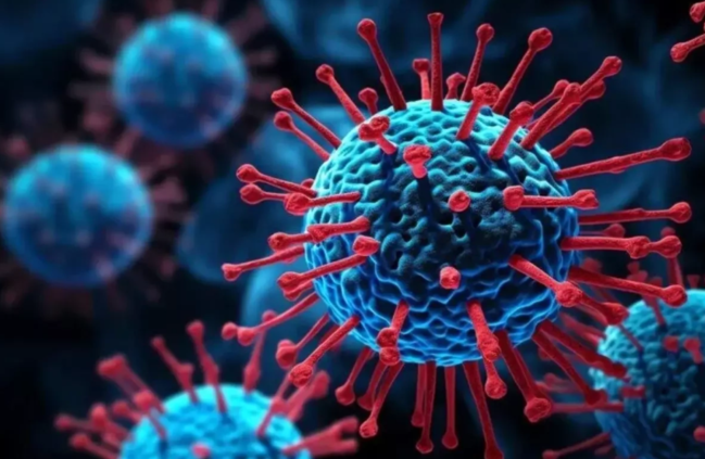 Təhlükəli virus! Yağış mövsümündə artır